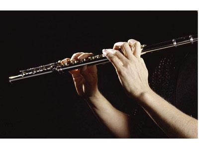 招聘廊坊长笛家教老师