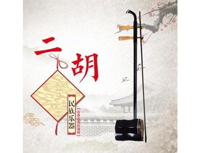 招聘廊坊二胡家教老师